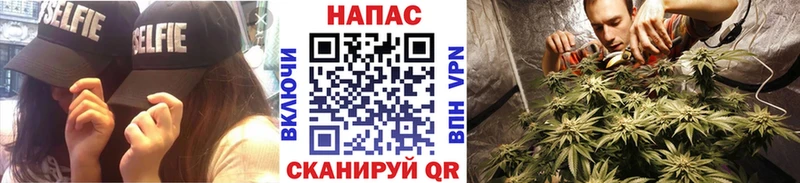 Бошки марихуана THC 21%  Искитим 